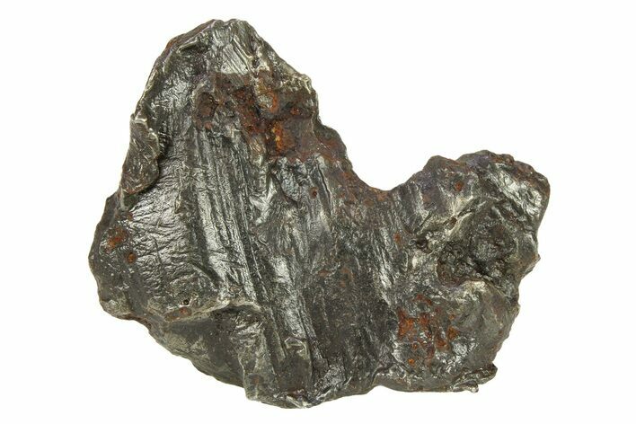 Sikhote-Alin Iron Meteorite Shrapnel ( g) - Russia #287736